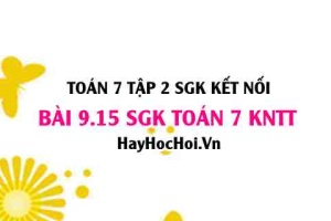 Bài 9.15 SGK Toán 7 Tập 2 Kết nối tri thức